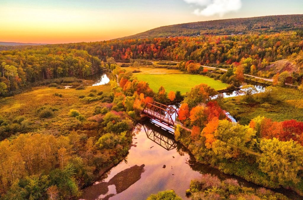 Cung đường giữa rừng thu trên đảo Cape Breton