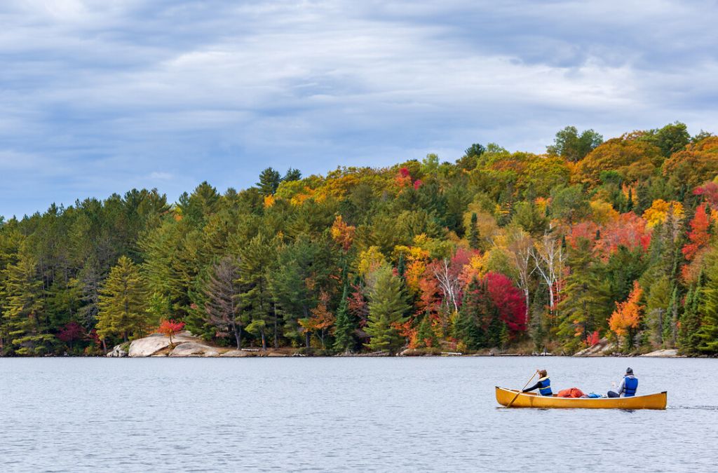 Chèo canoe giữa rừng thu tại Công viên Algonquin