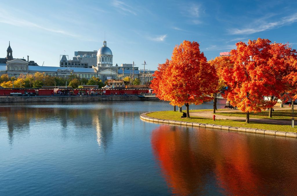 Montreal bên hàng cây đỏ cam mùa thu