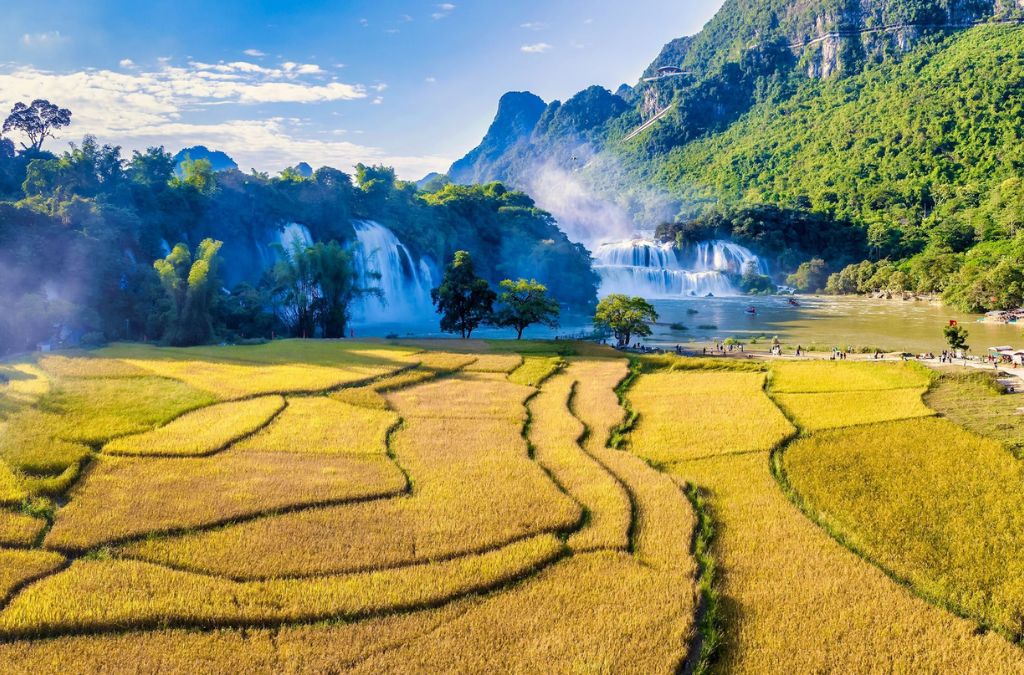 Thác Bản Giốc bên những thửa ruộng chín vàng