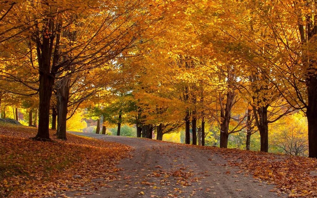 Cung đường Blue Ridge Parkway