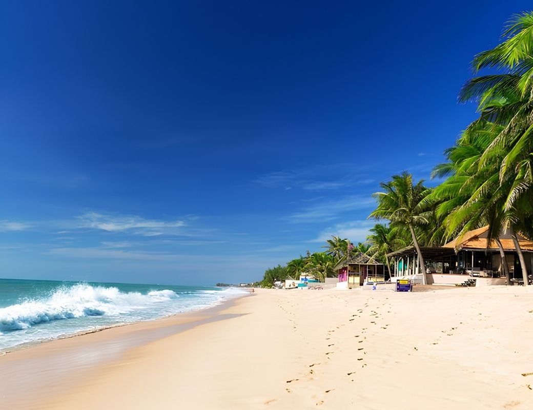 Bãi biển Mũi Né với hàng dừa ven biển.