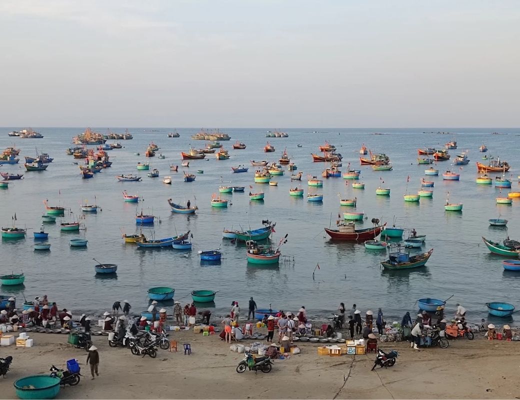 thuyền thúng và ghe cá tại làng chài Mũi Né.