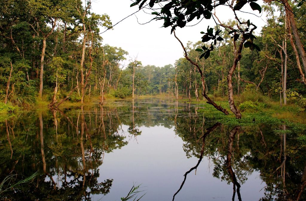 Hồ Bishazari Tal giữa rừng cây tại Chitwan
