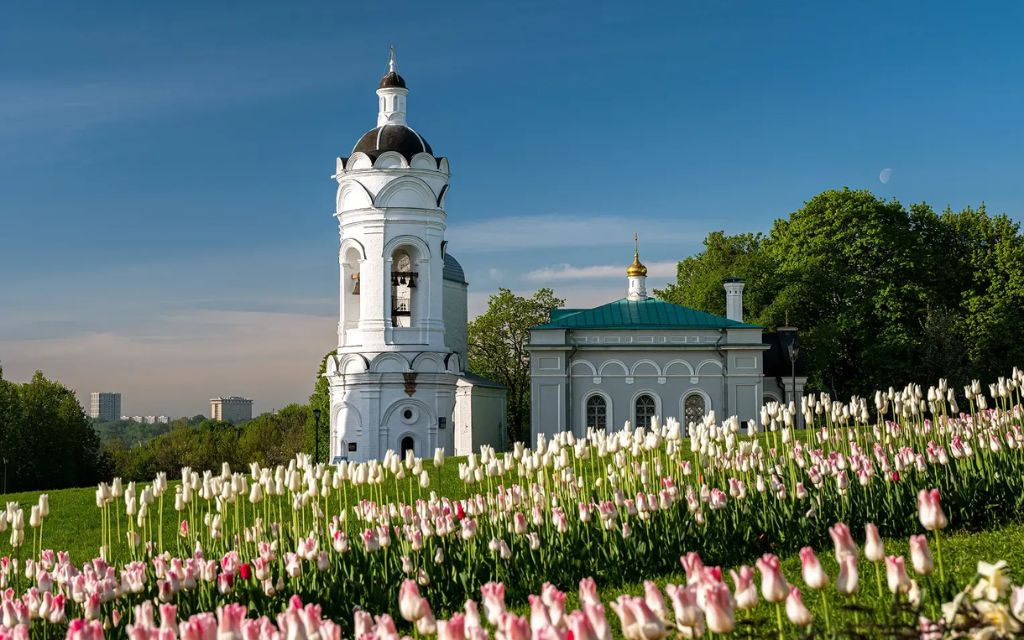 Vườn hoa tulip nở trước nhà thờ tại Moscow vào mùa xuân