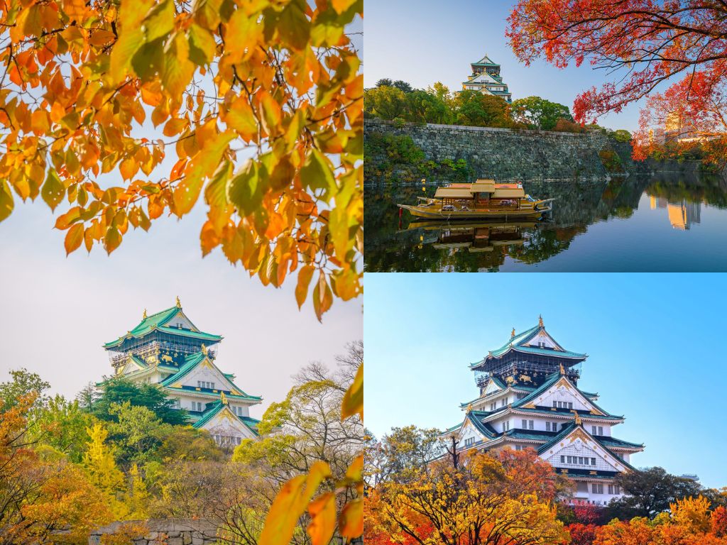 Lâu đài Osaka mùa lá đỏ
