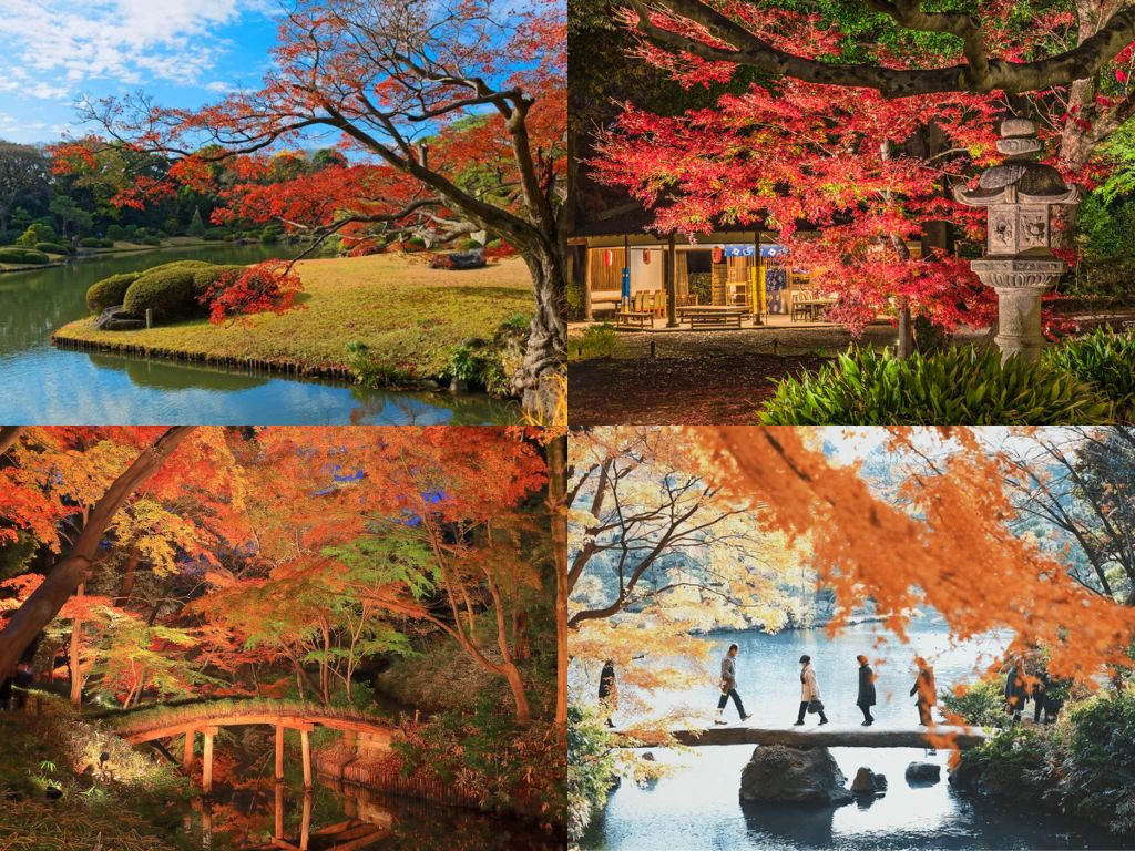 Vườn Rikugien ở Tokyo