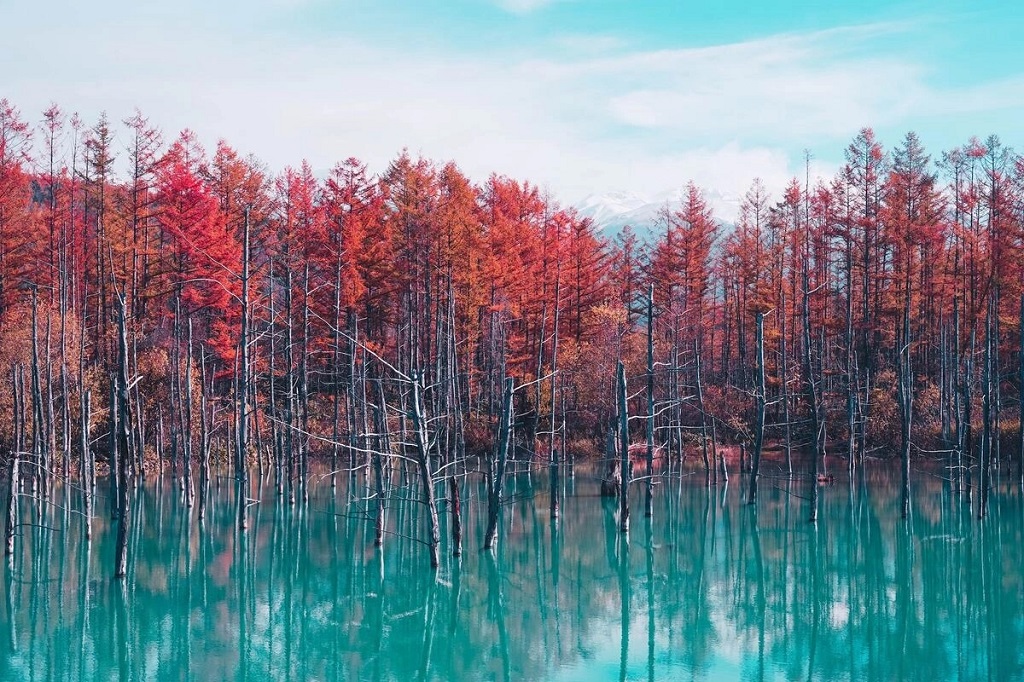 Mùa thu ở Blue Pond