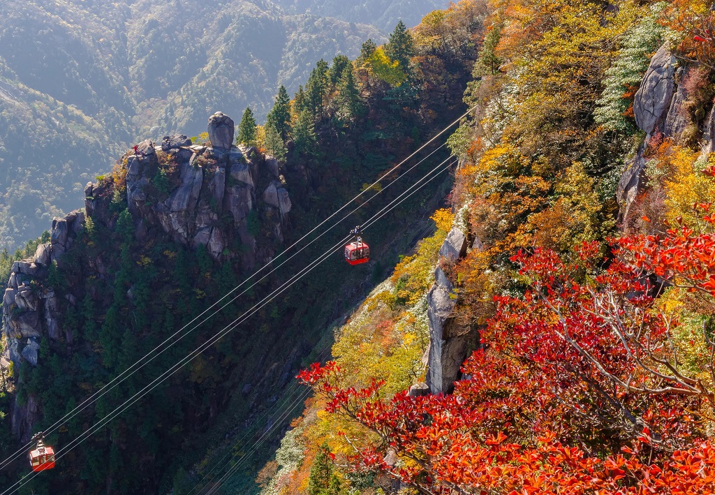 Đi cáp treo Gozaisho Ropeway
