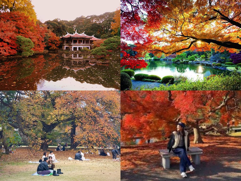 Vườn Shinjuku Gyoen