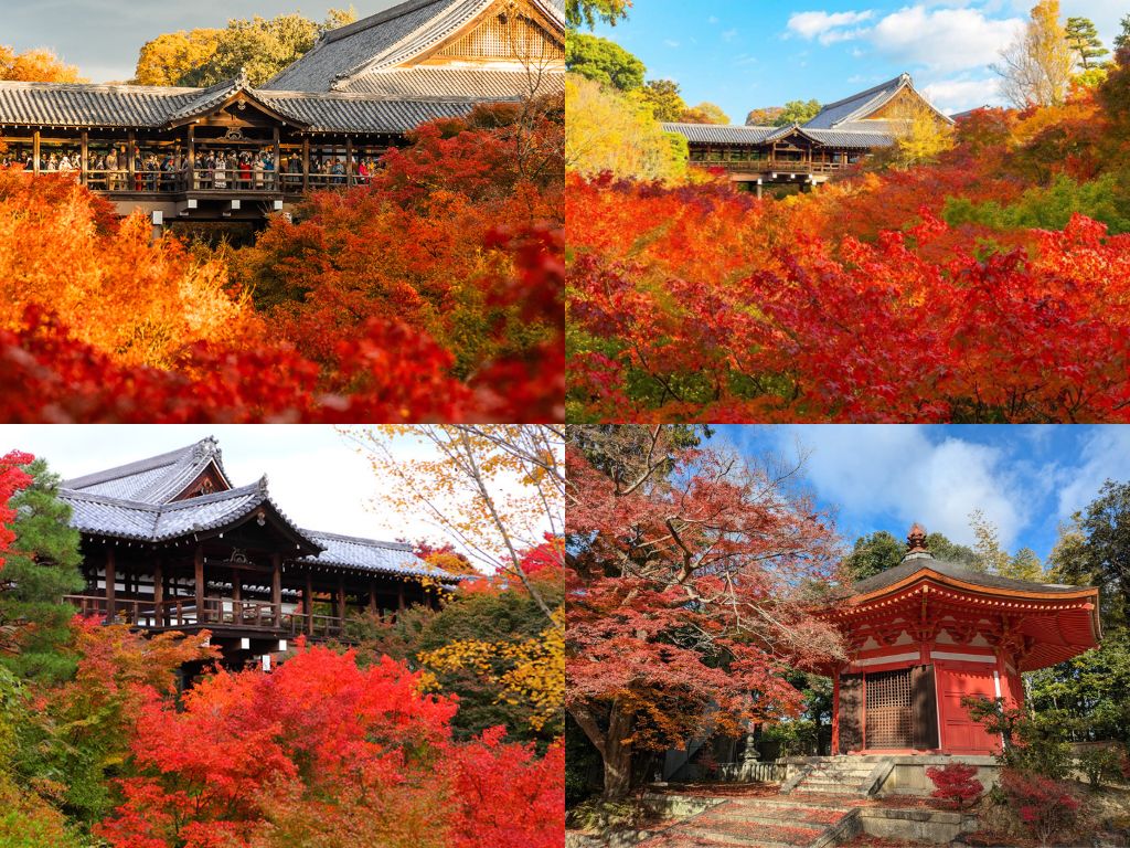 Ngắm lá đỏ Nhật Bản ở Chùa Tofukuji