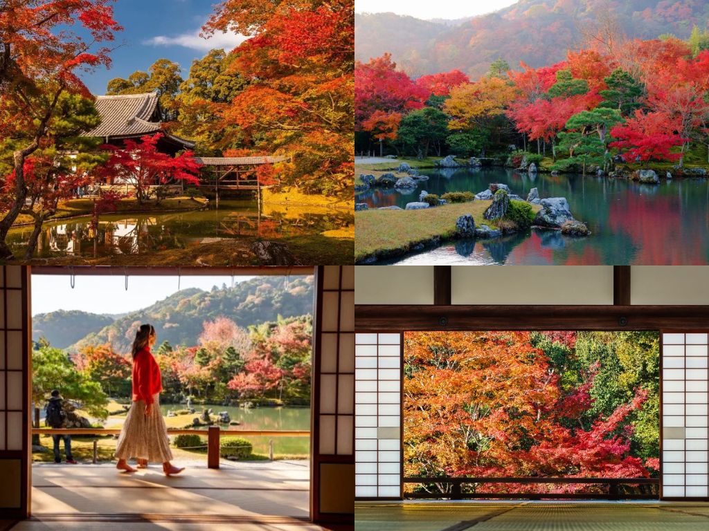 Mùa lá đỏ ở chùa Tenryuji 