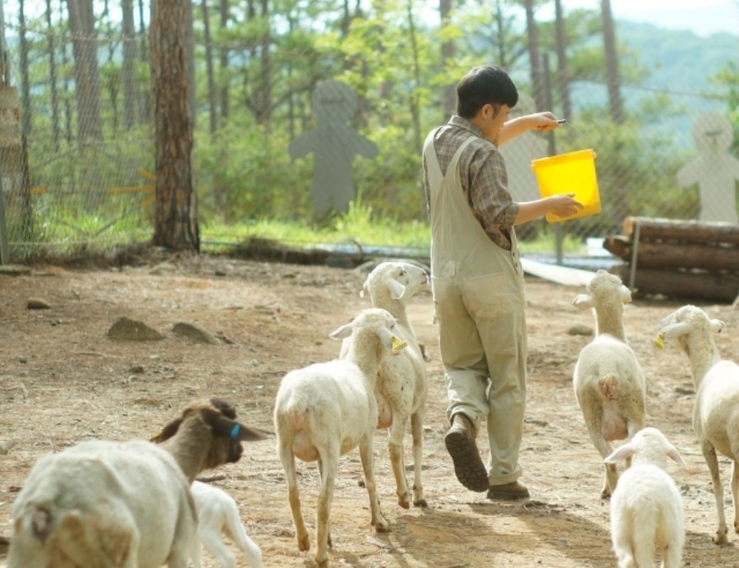 Vườn thú ZooDoo Đà Lạt giữa rừng thông