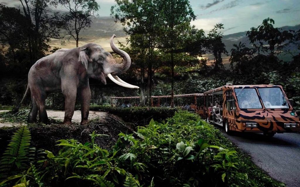 Động vật tại Night Safari Singapore 
