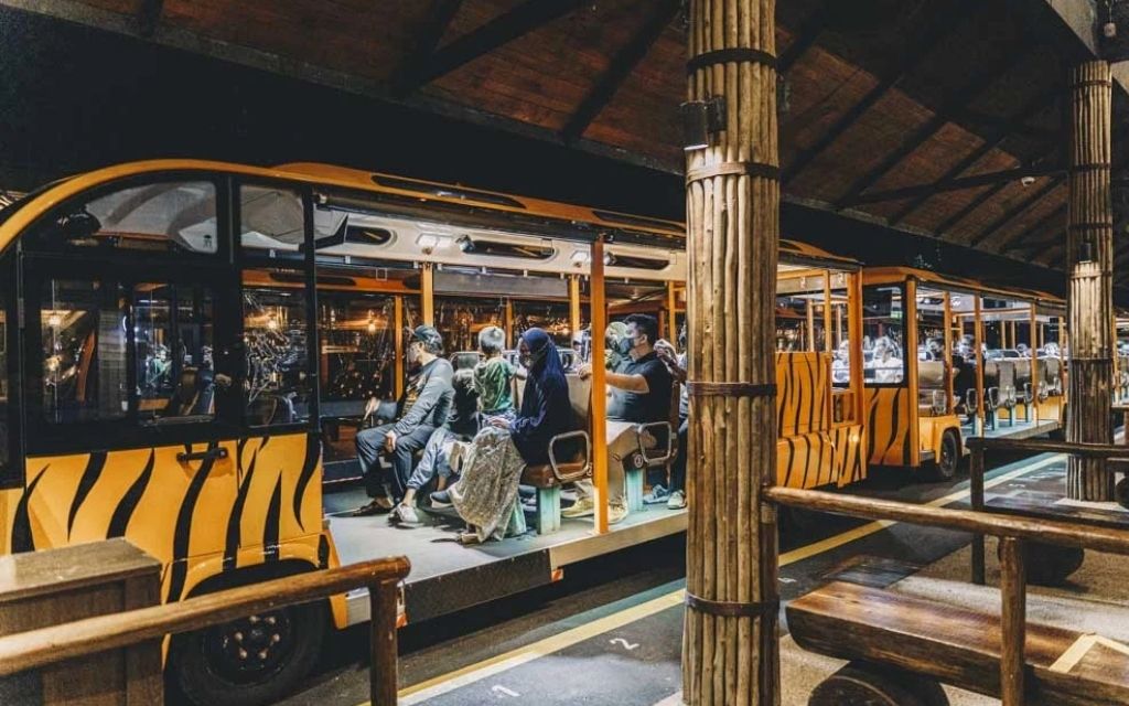 Safari Adventure Tram tại Night Safari 