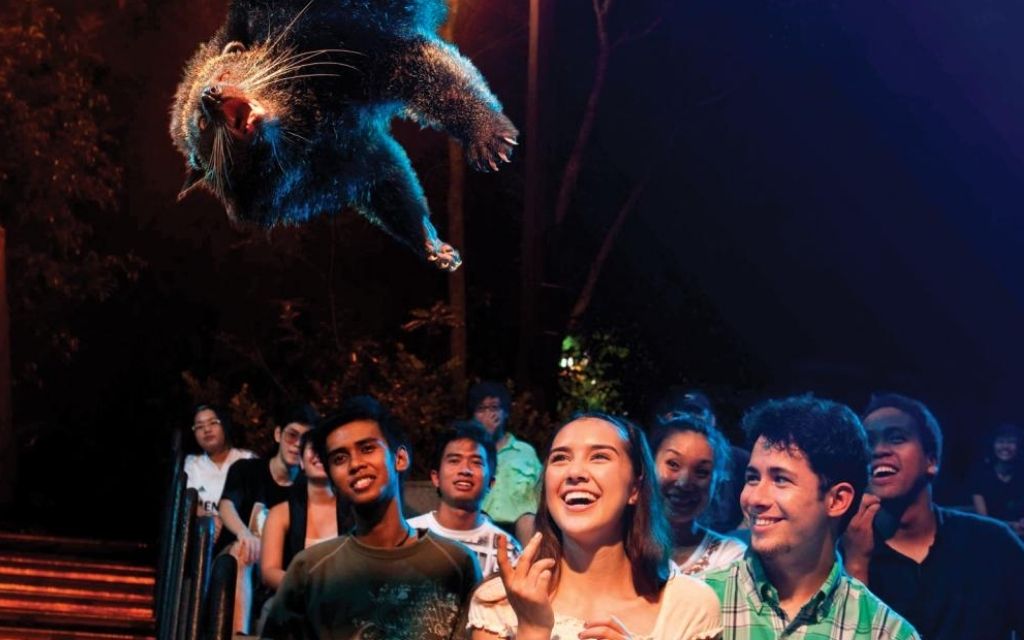 Show Creatures of the Night 