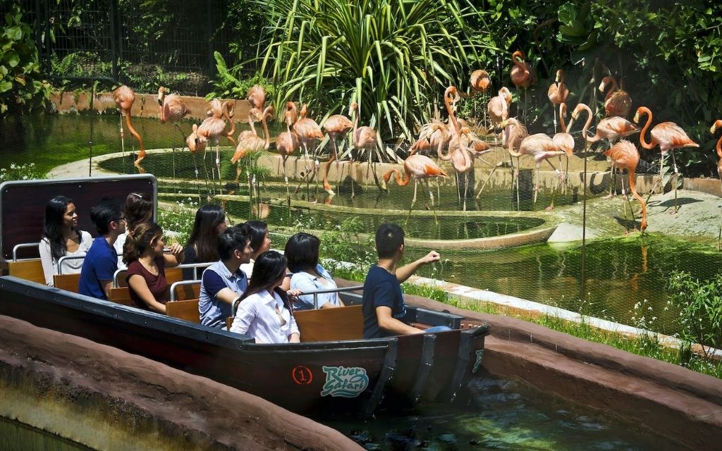 Tham quan River Wonders Singapore 