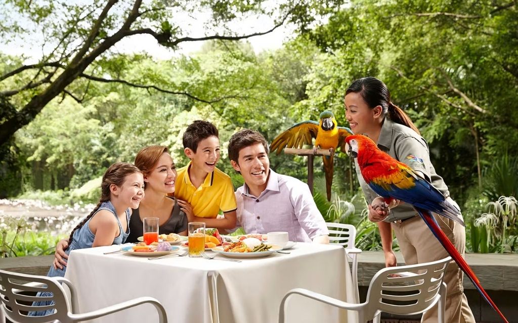 Trải nghiệm tại Bird Paradise Singapore