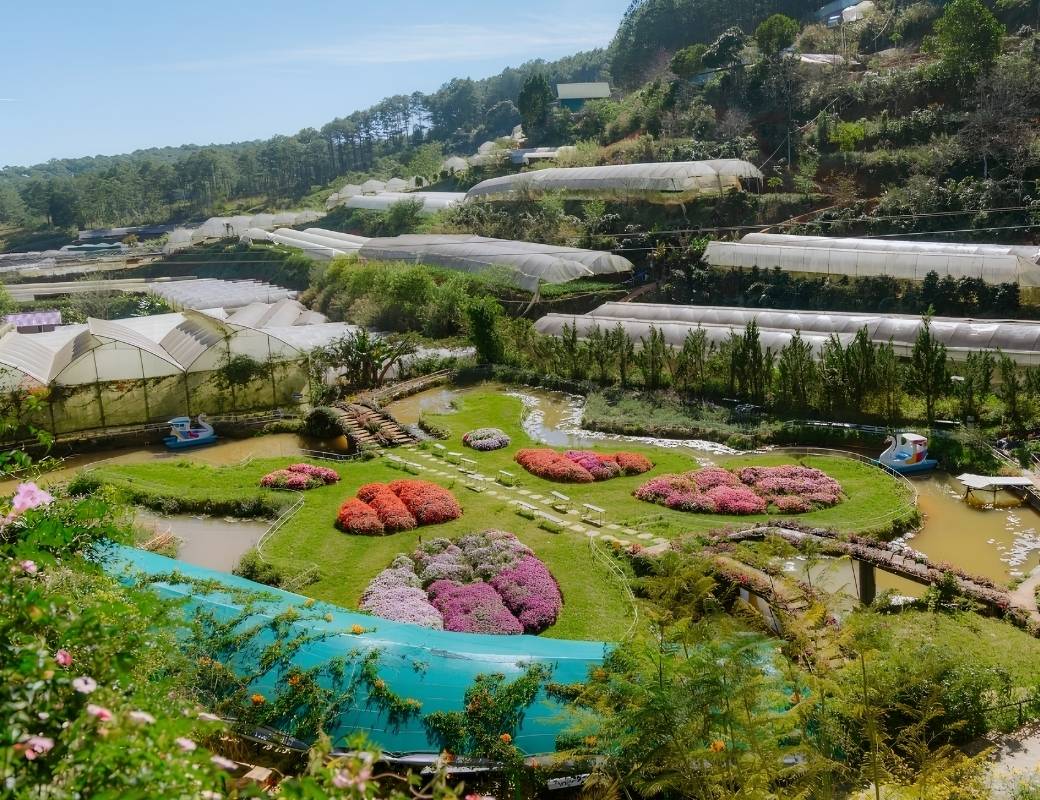 Pink Valley Đà Lạt trên cung đường Cam Ly – Tà Nung.