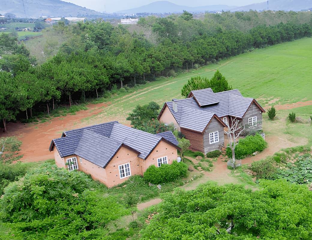 Đà Lạt Milk Farm giữa không gian xanh.