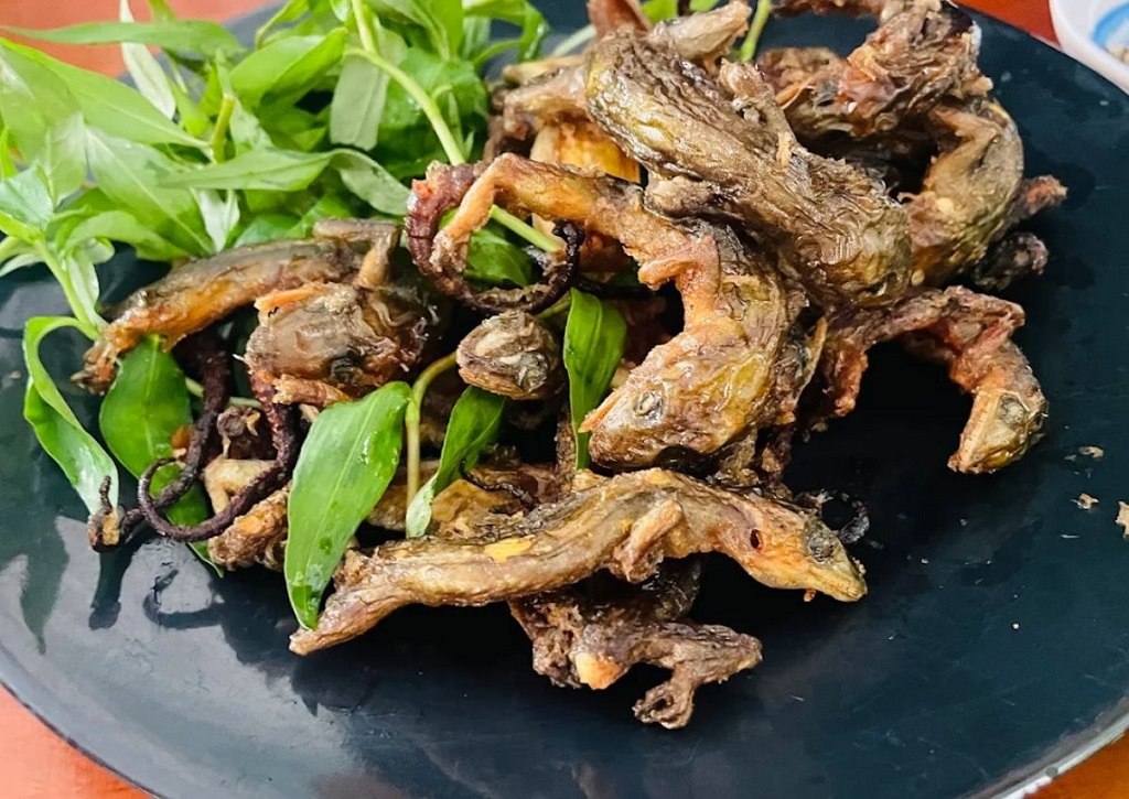 Thằn lằn núi là một trong những đặc sản Tây Ninh