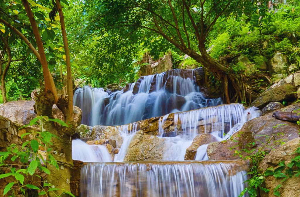 Dòng suối đổ qua những tầng đá giữa cây rừng xanh mát trên núi Cấm