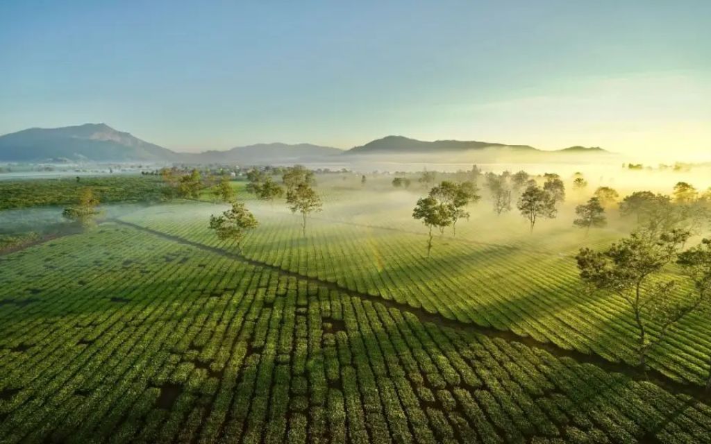 Biển Hồ Chè