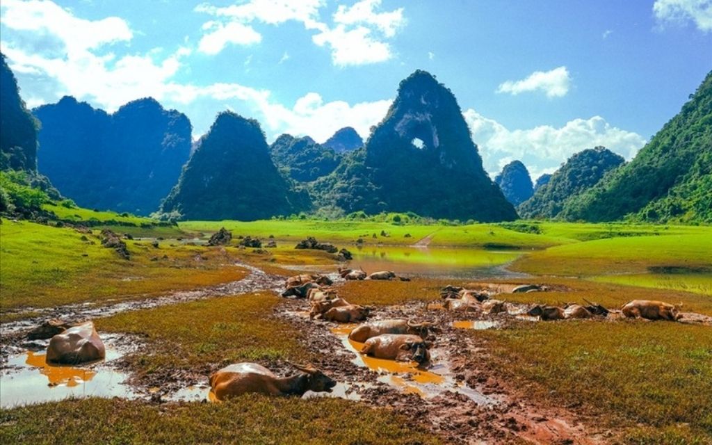 Trekking thung lũng Núi Mắt Thần