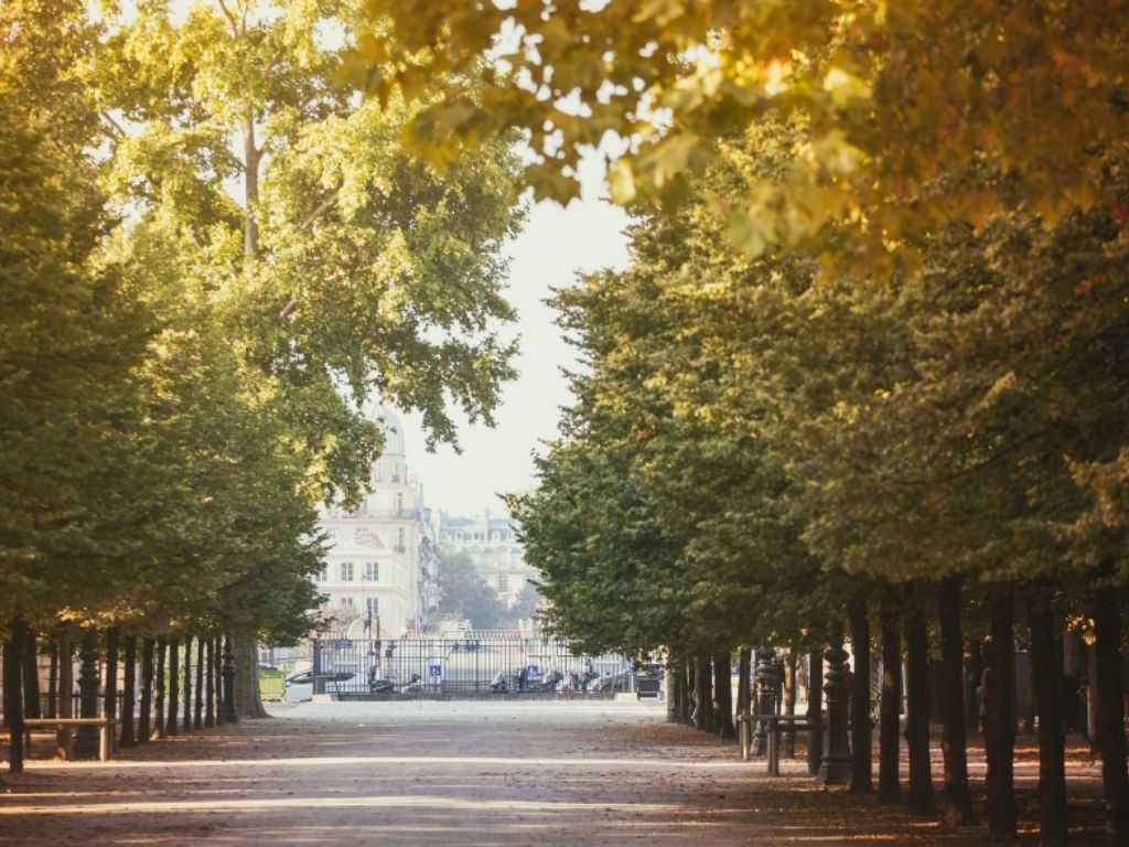 Đại lộ Champs-Élysées mùa thu ở Paris