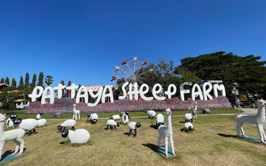 Pattaya Sheep Farm