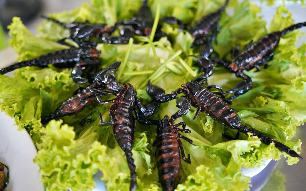 Côn trùng chiên giòn Thái Lan