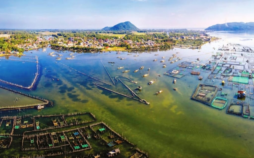 Phá Tam Giang