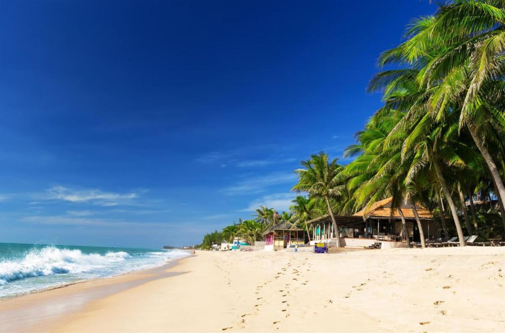 Bãi cát vàng và hàng dừa xanh tại Bãi Rạng Phan Thiết