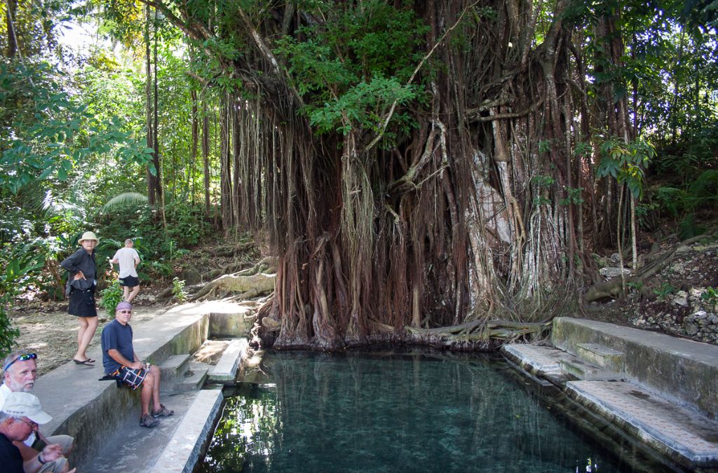 Cây Balete cổ thụ với bộ rễ lớn bên hồ nước tại Siquijor