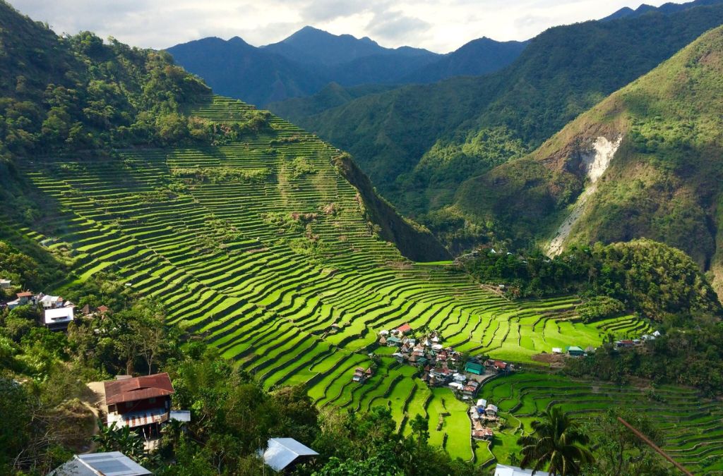 Ruộng bậc thang xanh giữa thung lũng Banaue Philippines