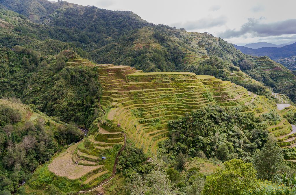 Ruộng bậc thang xanh trải dài trên sườn núi Philippines