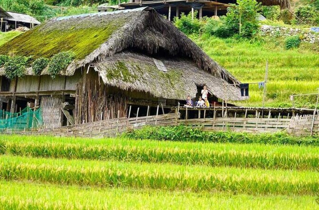 Bản Cỏi và không gian sinh hoạt của người Dao Tiền