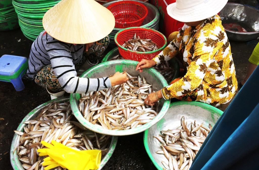 Phiên chợ cá buổi sớm tại Phước Hải