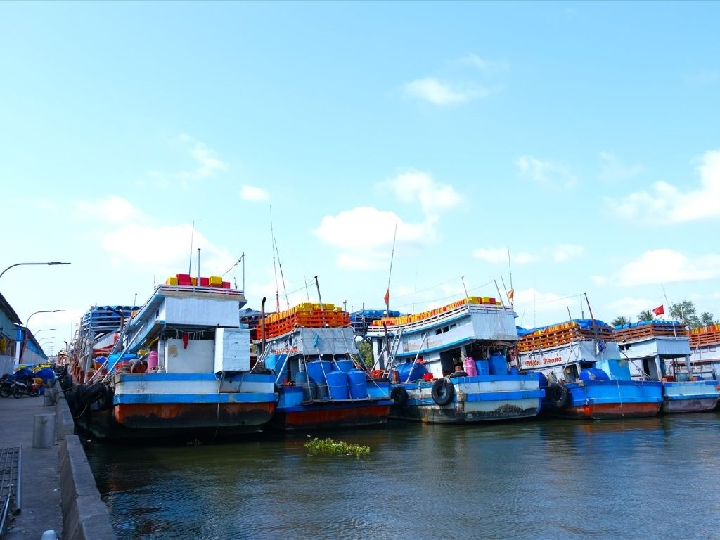 Cảng cá Tắc Cậu Kiên Giang – khung cảnh nhộn nhịp làng chài