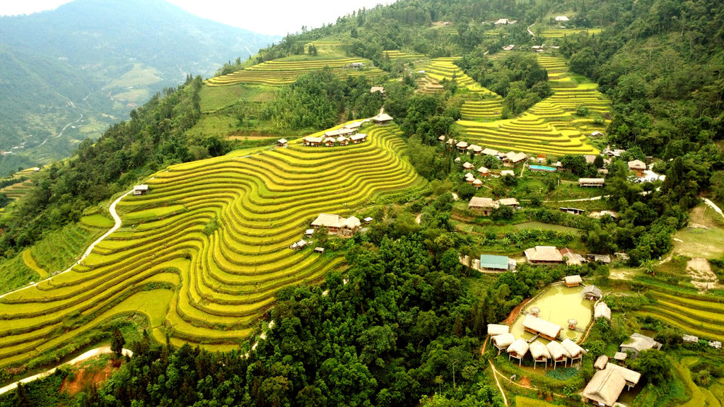 Ruộng bậc thang Hồng Thái