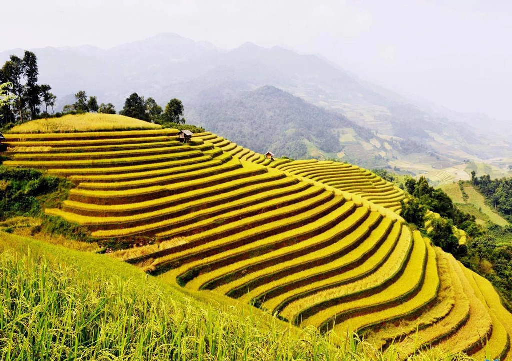 Ruộng bậc thang Pù Luông