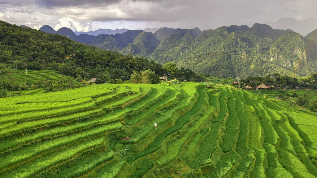 Ruộng bậc thang Mường Lống