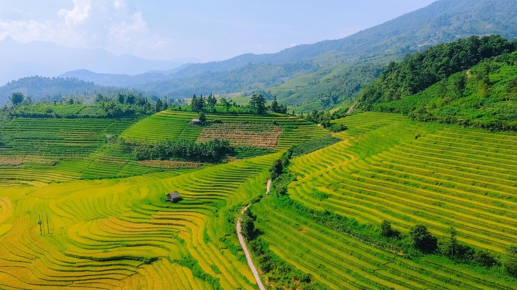 Ruộng bậc thang A Lưới