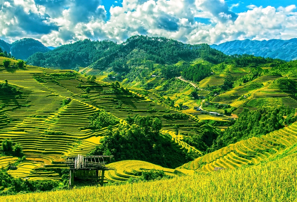 Ruộng bậc thang Sa Pa