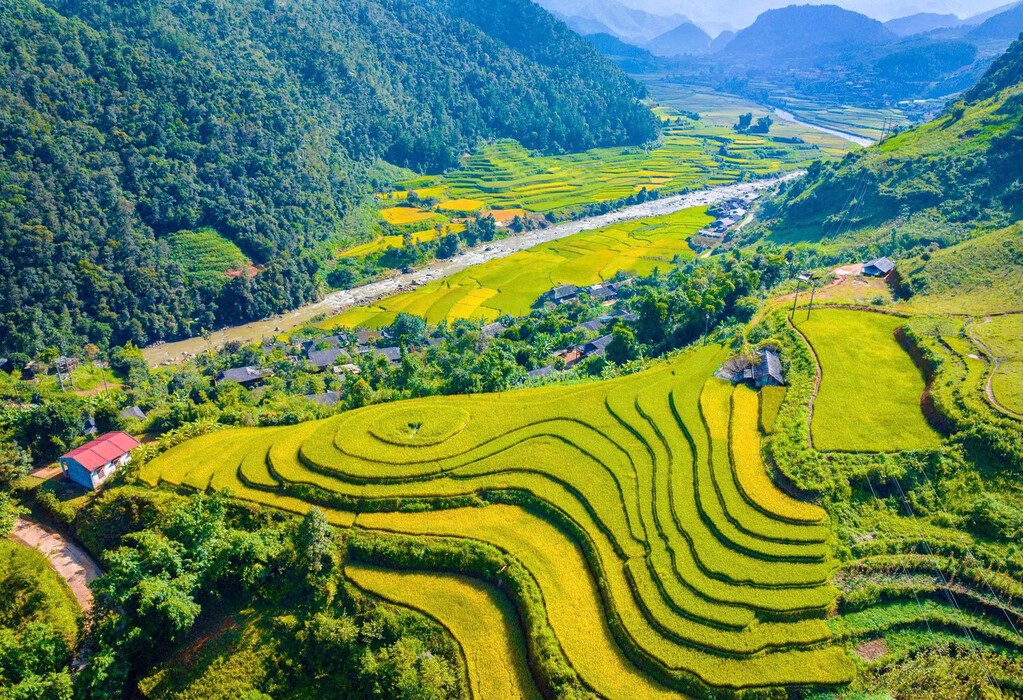 Ruộng bậc thang Hoàng Su Phì