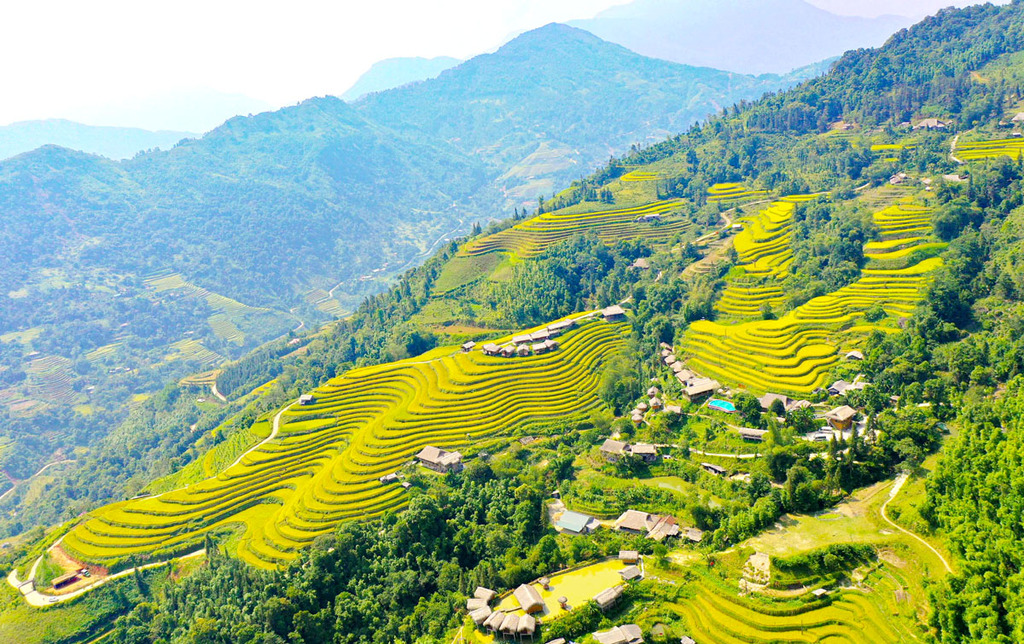 Ruộng bậc thang Bản Phùng