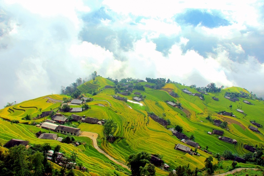 Ruộng bậc thang Nậm Hồng