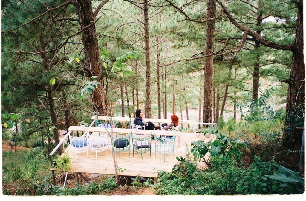 Ngắm mây tại Moonrise Garden Đà Lạt