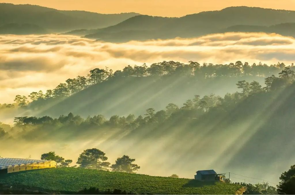 Săn mây và ngắm nhà kính tại Trại Mát Đà Lạt