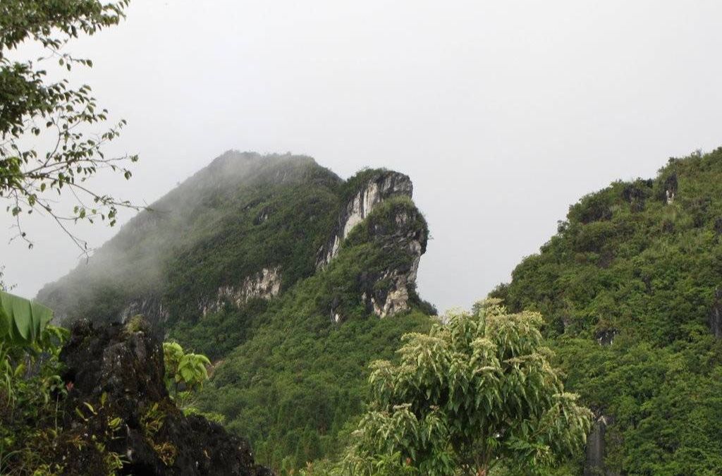 Núi Hàm Rồng phủ mây giữa những dãy núi xanh tại Sapa